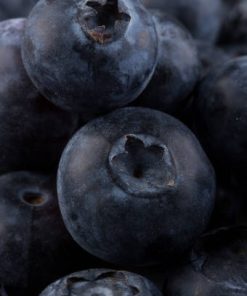 fresh huckleberry fruits used in the production of WYLD Huckleberry Gummies