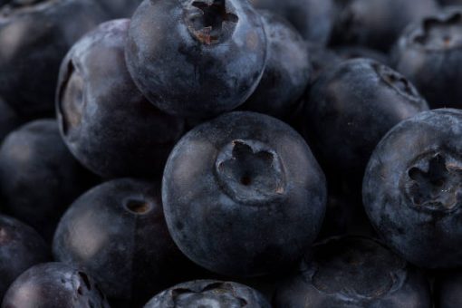 fresh huckleberry fruits used in the production of WYLD Huckleberry Gummies