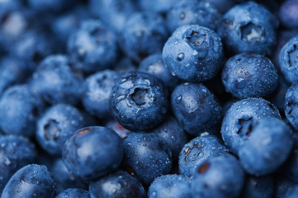 fresh huckle berry fruits used in the production of wyld sleep gummies