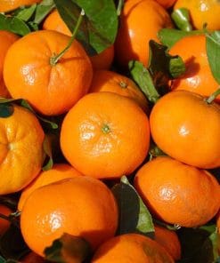 Fresh sour tangerine fruits used in producing WYLD Sour Tangerine Gummies