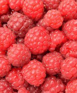 Fresh raspberry fruits used in the production of wyld raspberry gummies