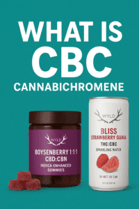a can of wyld sparkling water and wyld boysenberry gummies on a green background with title as what is CBC Cannabichromene
